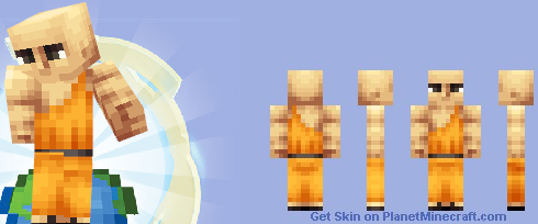 Minecraft Warrior Monk skin